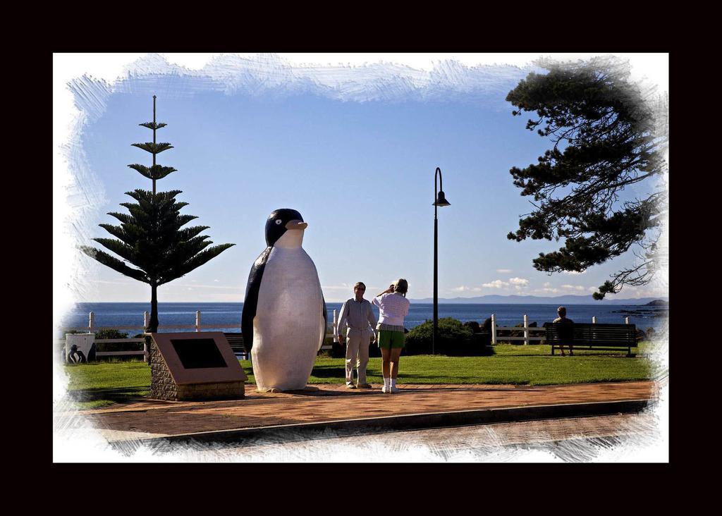 Penguin Beachfront Apartments Exterior foto